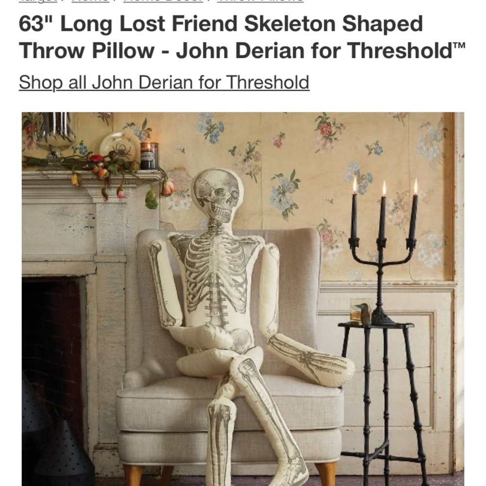 ISO skeleton pillow from Target!